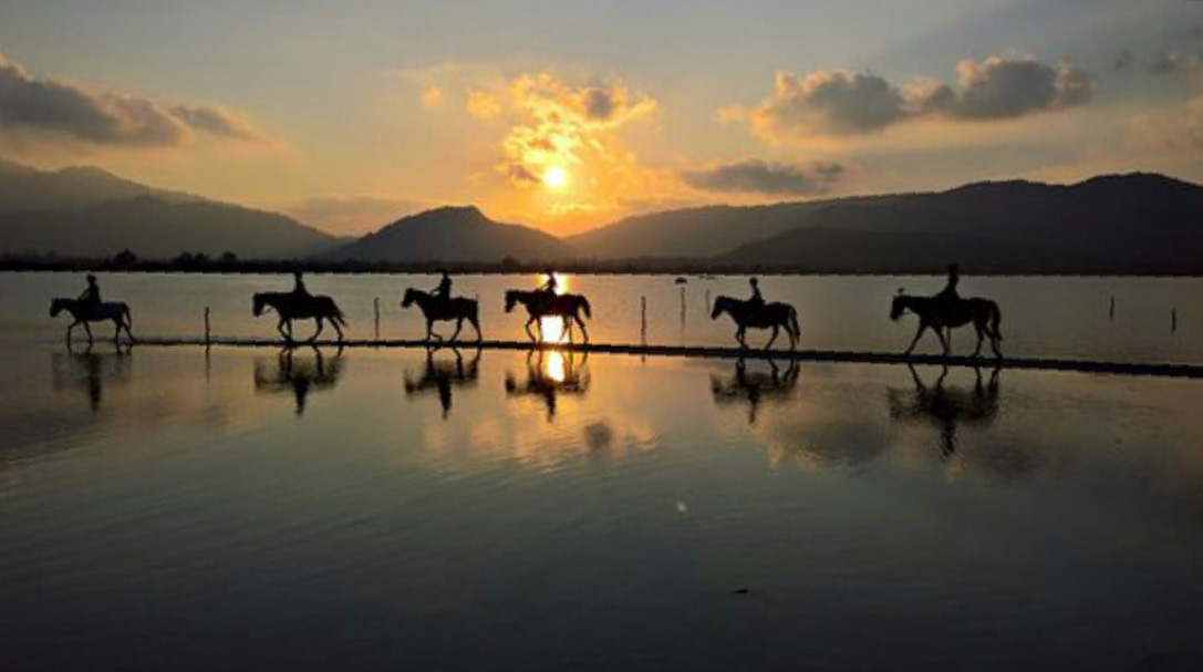 Passeggiata a cavallo