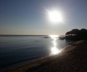 Camping Cala d'Ambra - San Teodoro OT
