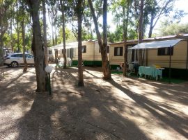 Camping Cala d'Ambra - San Teodoro OT