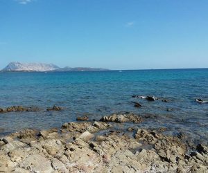 Camping Cala d'Ambra - San Teodoro OT